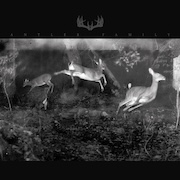 Review: Antler Family - Antler Family